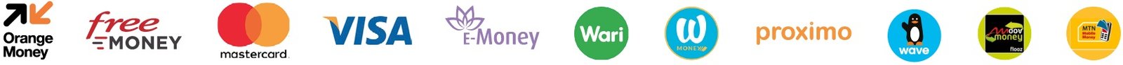 Payment Icons